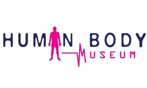 anamesa sto 7 kai sto 8